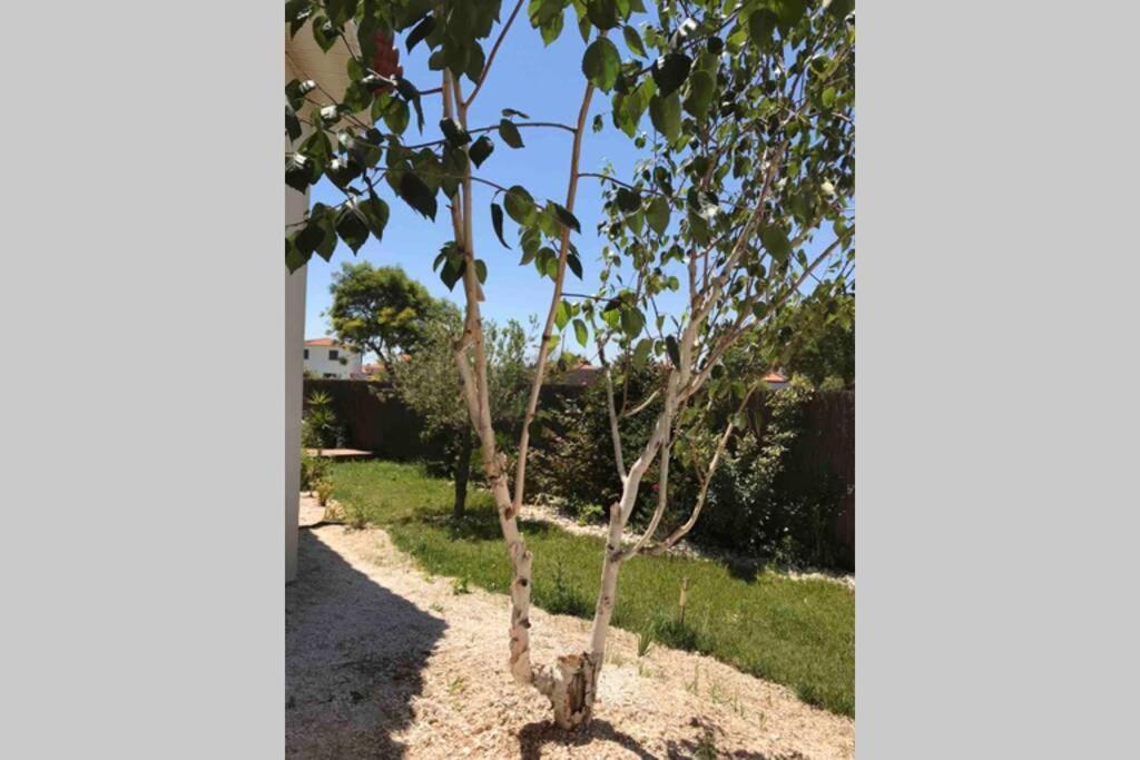 Cocooning Apartment ตูเรย์ลส์ ภายนอก รูปภาพ